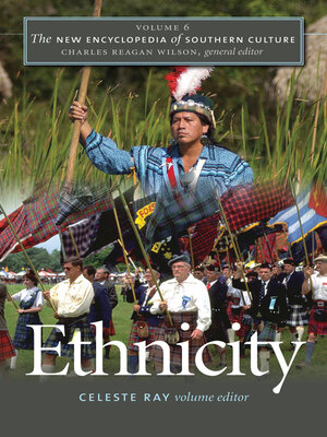cover image of The New Encyclopedia of Southern Culture